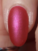 Susan T. review photo