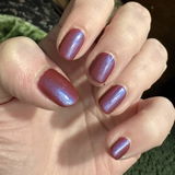 Jylcat review photo