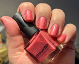 panicked_and_polished review photo
