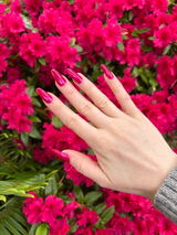 Sarah M. review photo