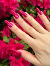 Sarah M. review photo
