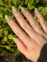 Sarah M. review photo