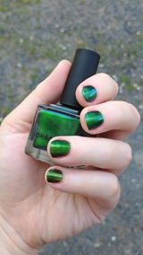 m.S. review photo