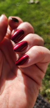 Vero O. review photo