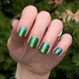 Laurel S. review photo