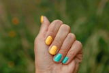 Ida H. review photo