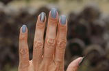 Ida H. review photo