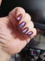 Ginny O. review photo
