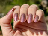 Ecaques review photo