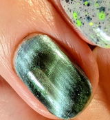 FREIDA R. review photo