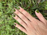 Holly B. review photo