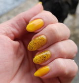 Vero O. review photo