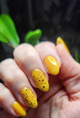 Vero O. review photo