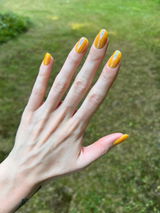 Jessica W. review photo
