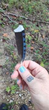 Anonymous review photo