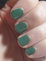 Courtney O. review photo