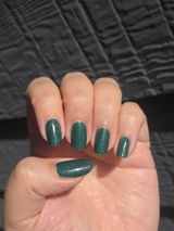 Danielle N. review photo