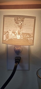 Sherrie Walling review photo