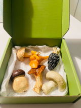 E.C. review photo
