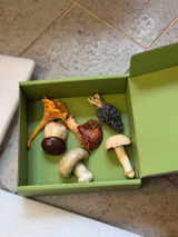 S. review photo