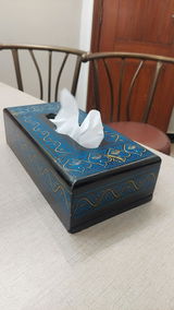 Qurratulainsaqib review photo