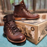 d_b review photo