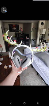 Lily review photo