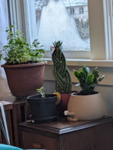 Sandy G.(. review photo