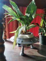Etsy c. review photo