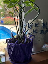 Etsy c. review photo