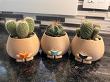 Etsy c. review photo