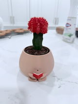 Holly V. review photo