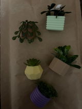 Days A.M.W. review photo