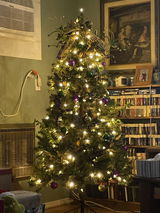 Holly W. review photo