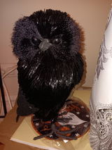 Dorothy M.P. review photo