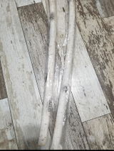MVS review photo