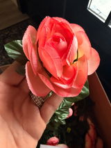 Dawnieandco review photo