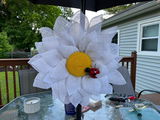 Patricia M. review photo