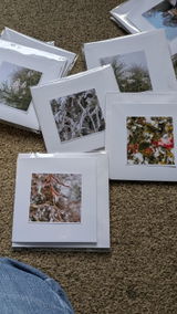 Carole Knight review photo