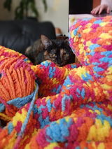 Bella Savin review photo