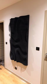 jeremy santin review photo