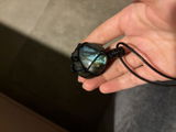 Flavia review photo