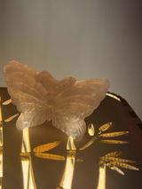 marian soare review photo
