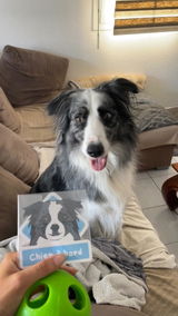 Anonyme review photo