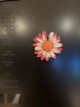 Enachescu Mo0nica review photo
