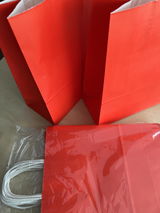 Ruxandra Serban review photo