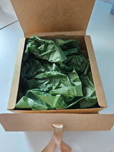 Anonim review photo