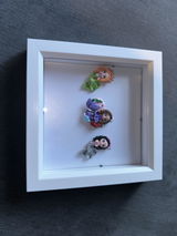 Amy V. review photo