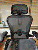 Y.H. review photo