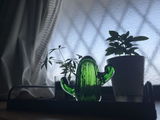 リク review photo